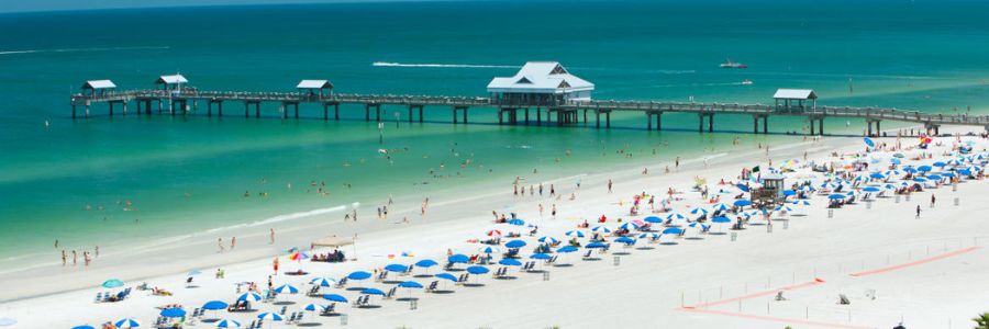 Things to Do in Clearwater with Kids