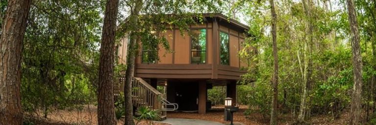 Best Treehouse Rentals in Florida That You Will Love