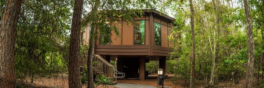 Treehouse Rentals in Florida
