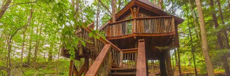 Best Treehouse Rentals in Pennsylvania